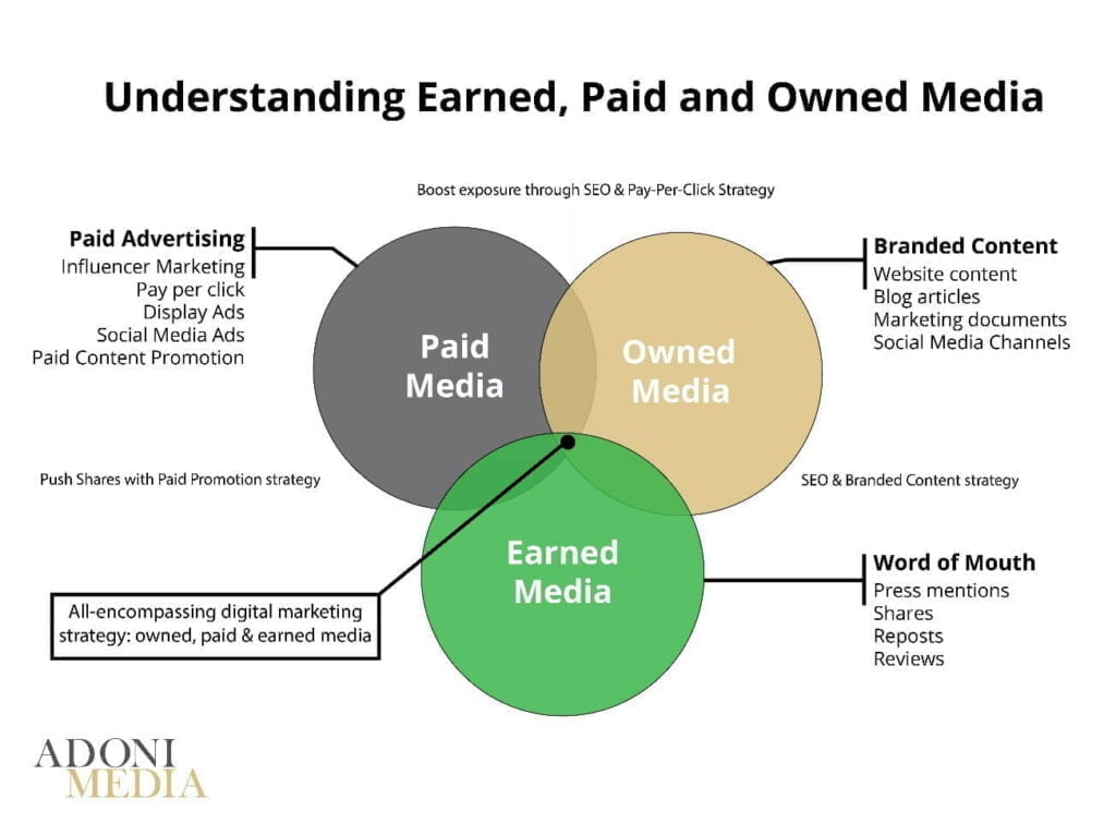 paid owned earned media case study
